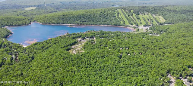 a view of a yard with plants
