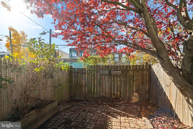 a view of a pathway with a tree