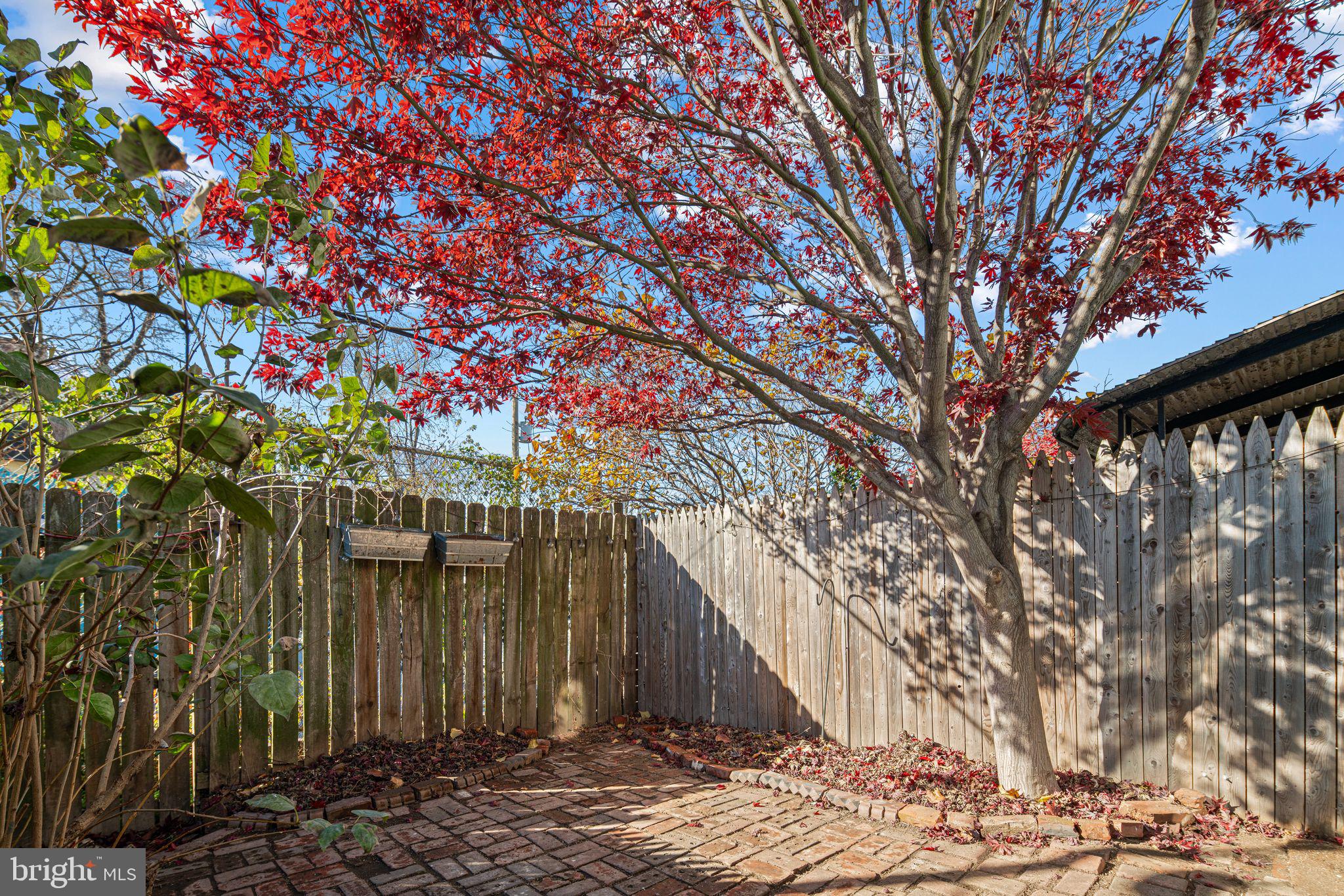 2142 East Huntingdon Street Philadelphia, PA 19125 - Photo 37 of 38 a view of outdoor space and yard
