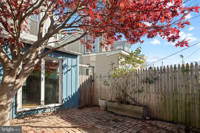 a view of a wooden door with a tree