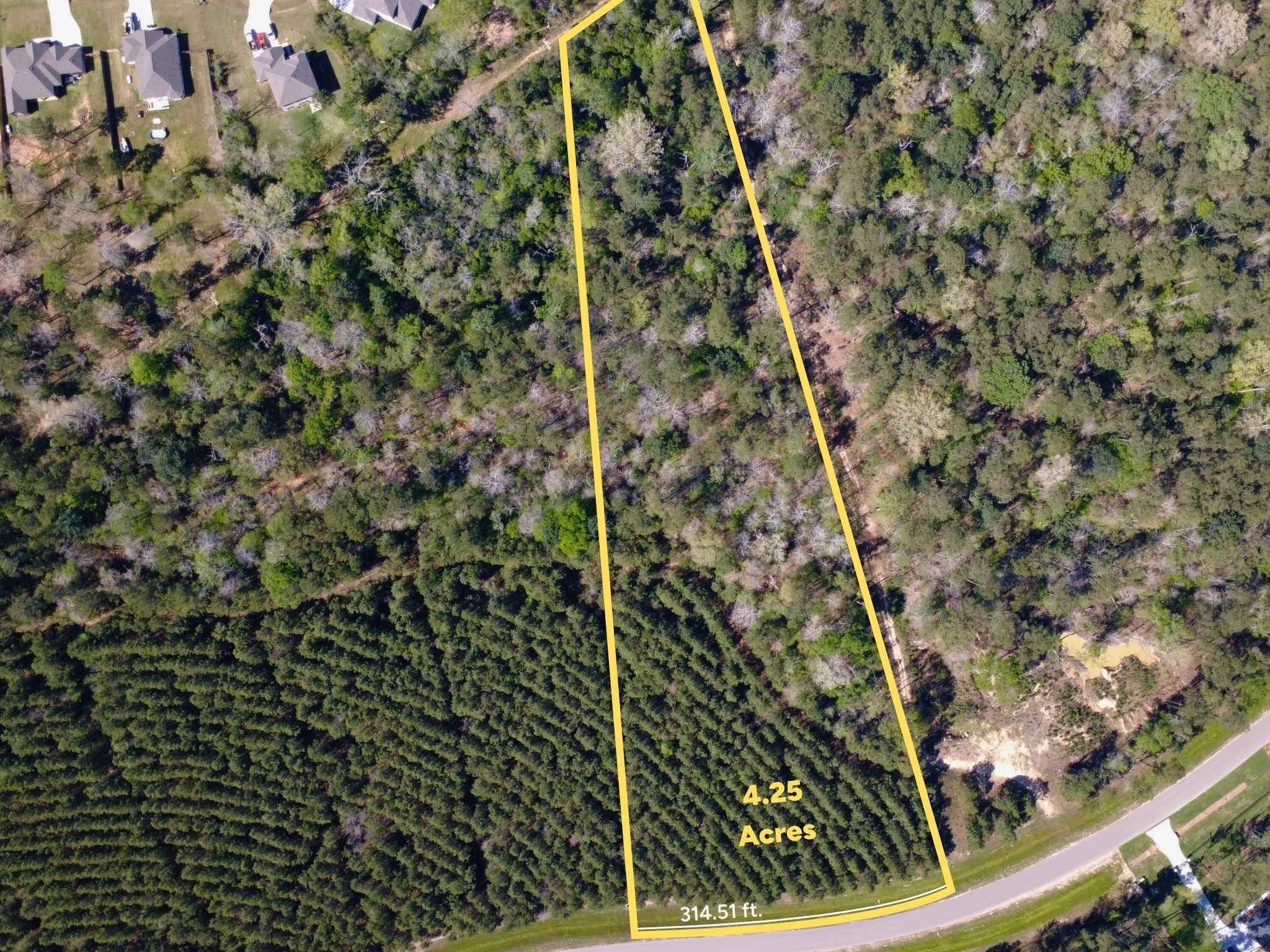 a view of a wooden wall with a tree