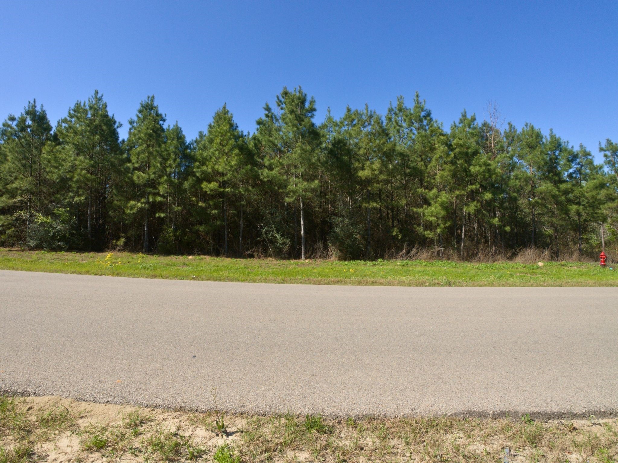 15761 Ridge Rock Road Willis, TX 77378 - Photo 11 of 15 a view of a swimming pool and a yard
