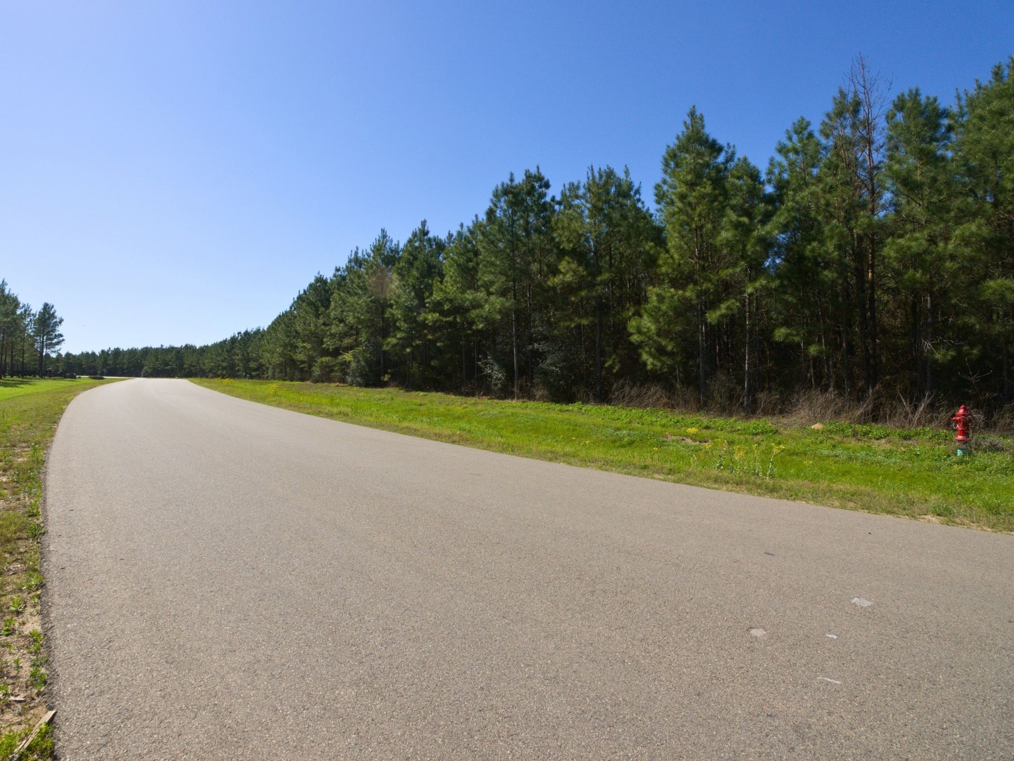15761 Ridge Rock Road Willis, TX 77378 - Photo 12 of 15 a view of a field and trees in the background