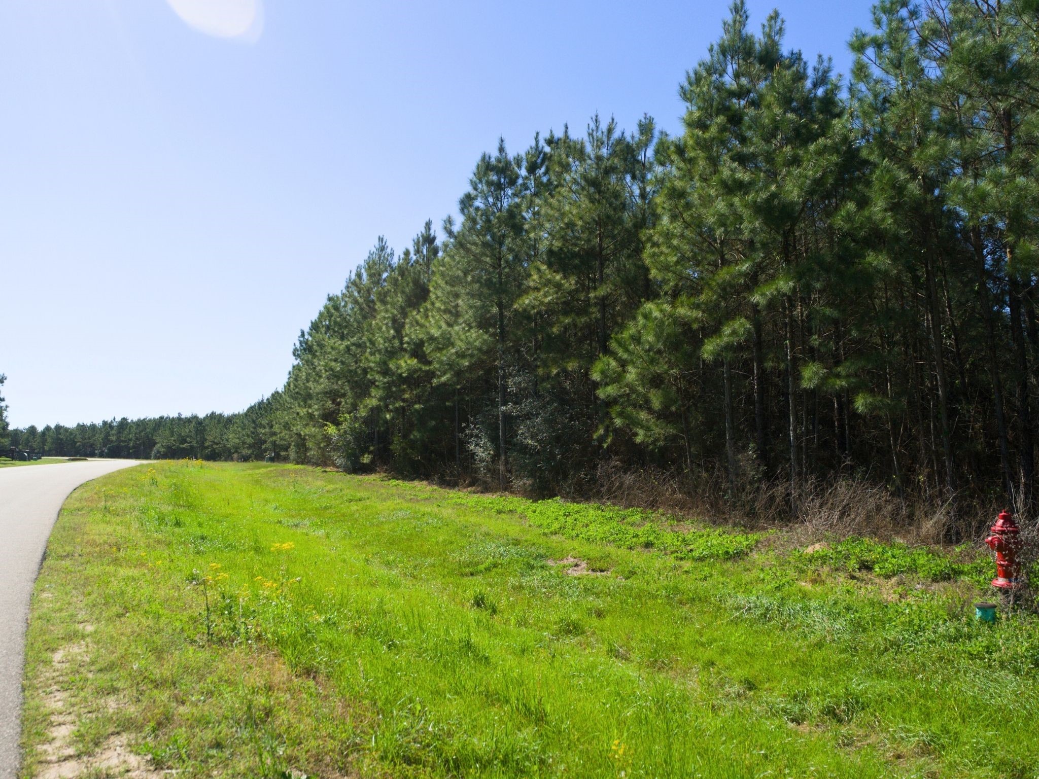 15761 Ridge Rock Road Willis, TX 77378 - Photo 13 of 15 a view of outdoor space with deck and yard