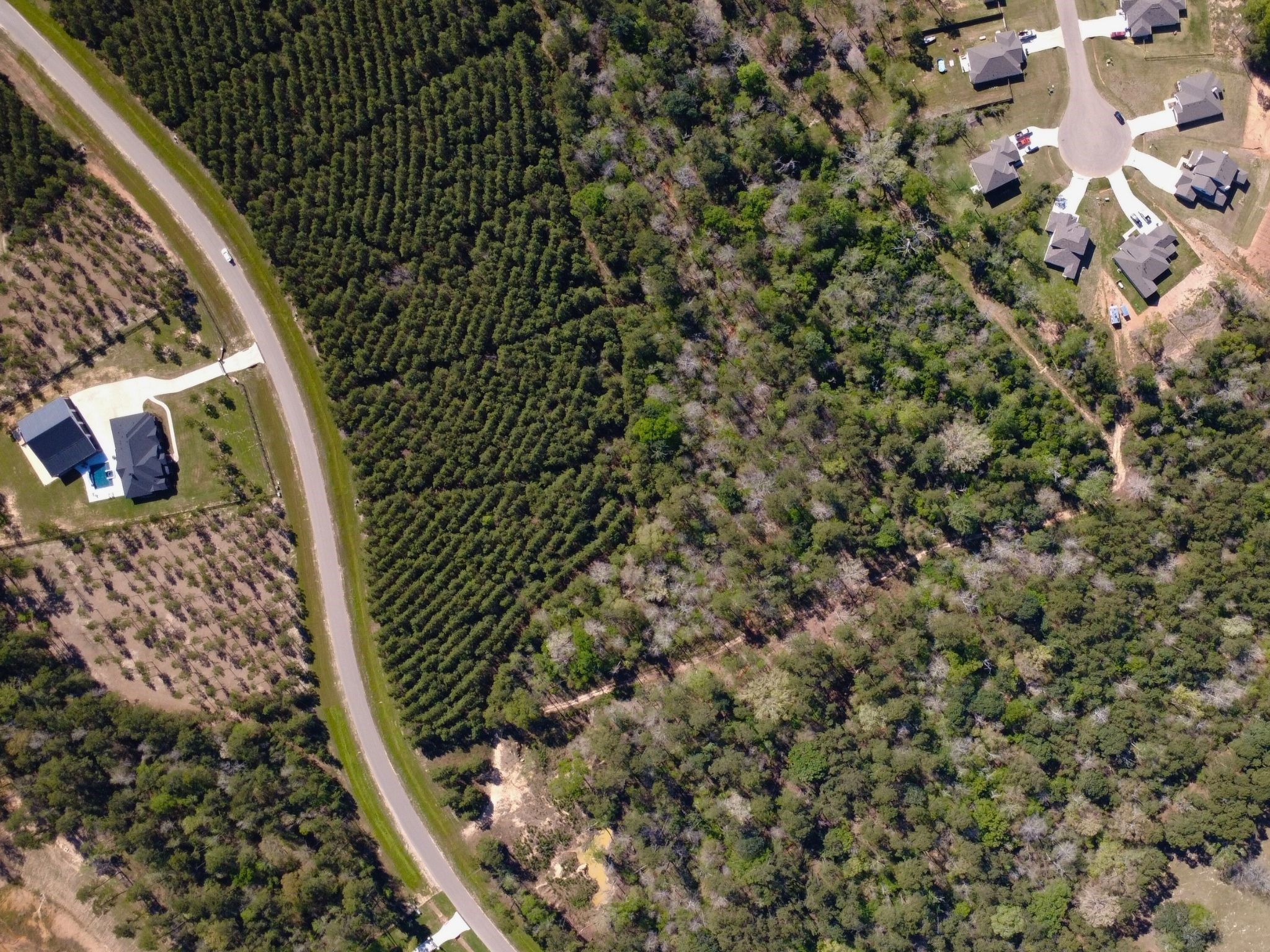 15761 Ridge Rock Road Willis, TX 77378 - Photo 3 of 15 a view of wooden wall