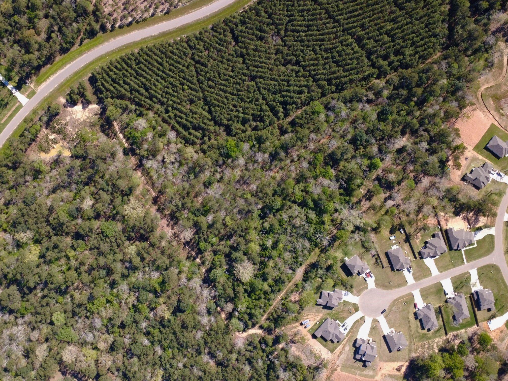 15761 Ridge Rock Road Willis, TX 77378 - Photo 4 of 15 a view of a garden