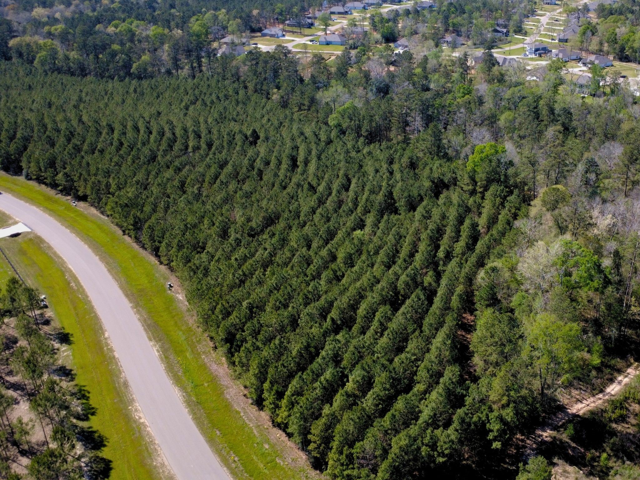 15761 Ridge Rock Road Willis, TX 77378 - Photo 5 of 15 an aerial view of a