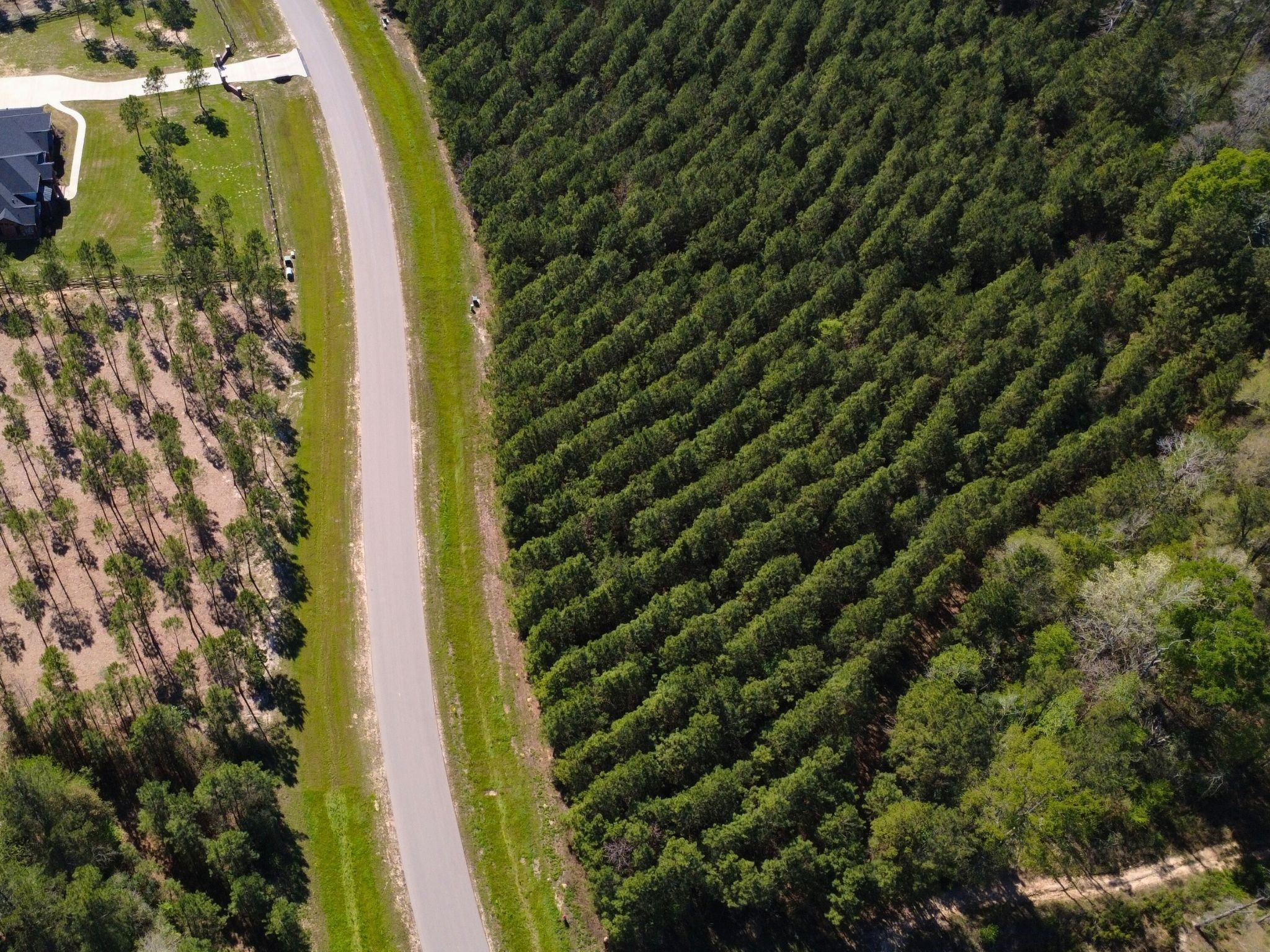 15761 Ridge Rock Road Willis, TX 77378 - Photo 6 of 15 a view of a garden