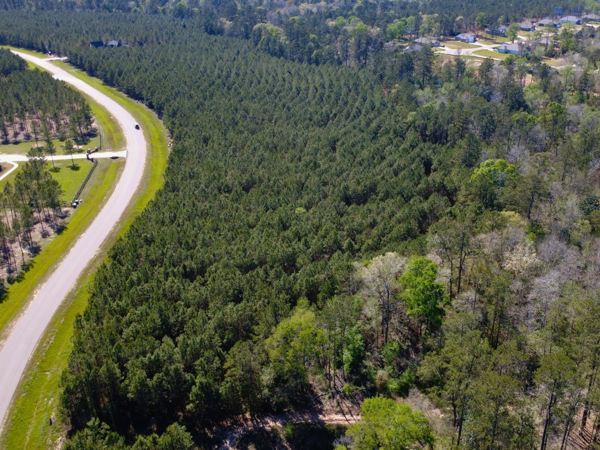 15761 Ridge Rock Road Willis, TX 77378 - Photo 7 of 15 a view of a yard
