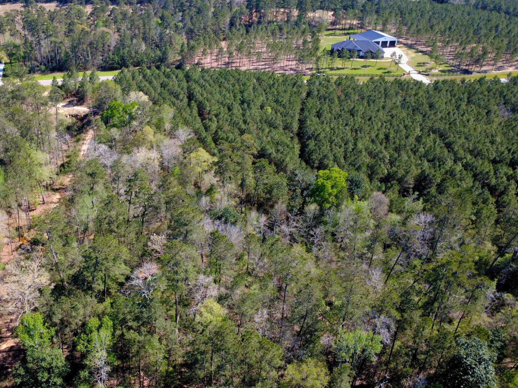 15761 Ridge Rock Road Willis, TX 77378 - Photo 8 of 15 a view of a house with a yard