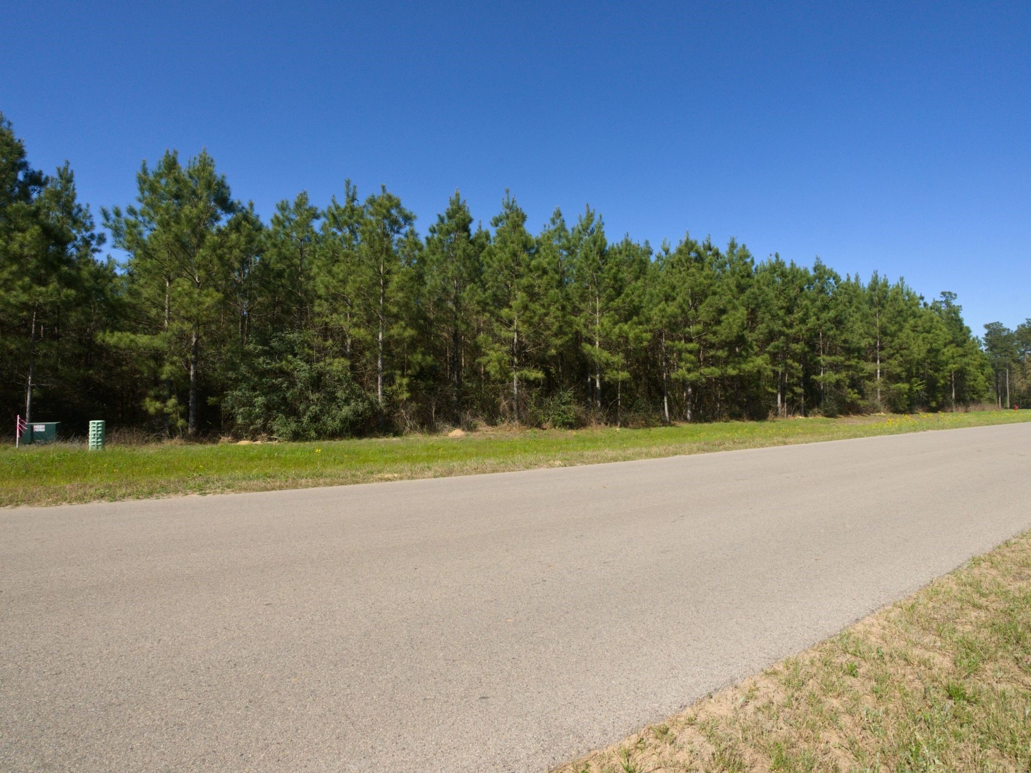 15761 Ridge Rock Road Willis, TX 77378 - Photo 9 of 15 a view of a field with trees in the background