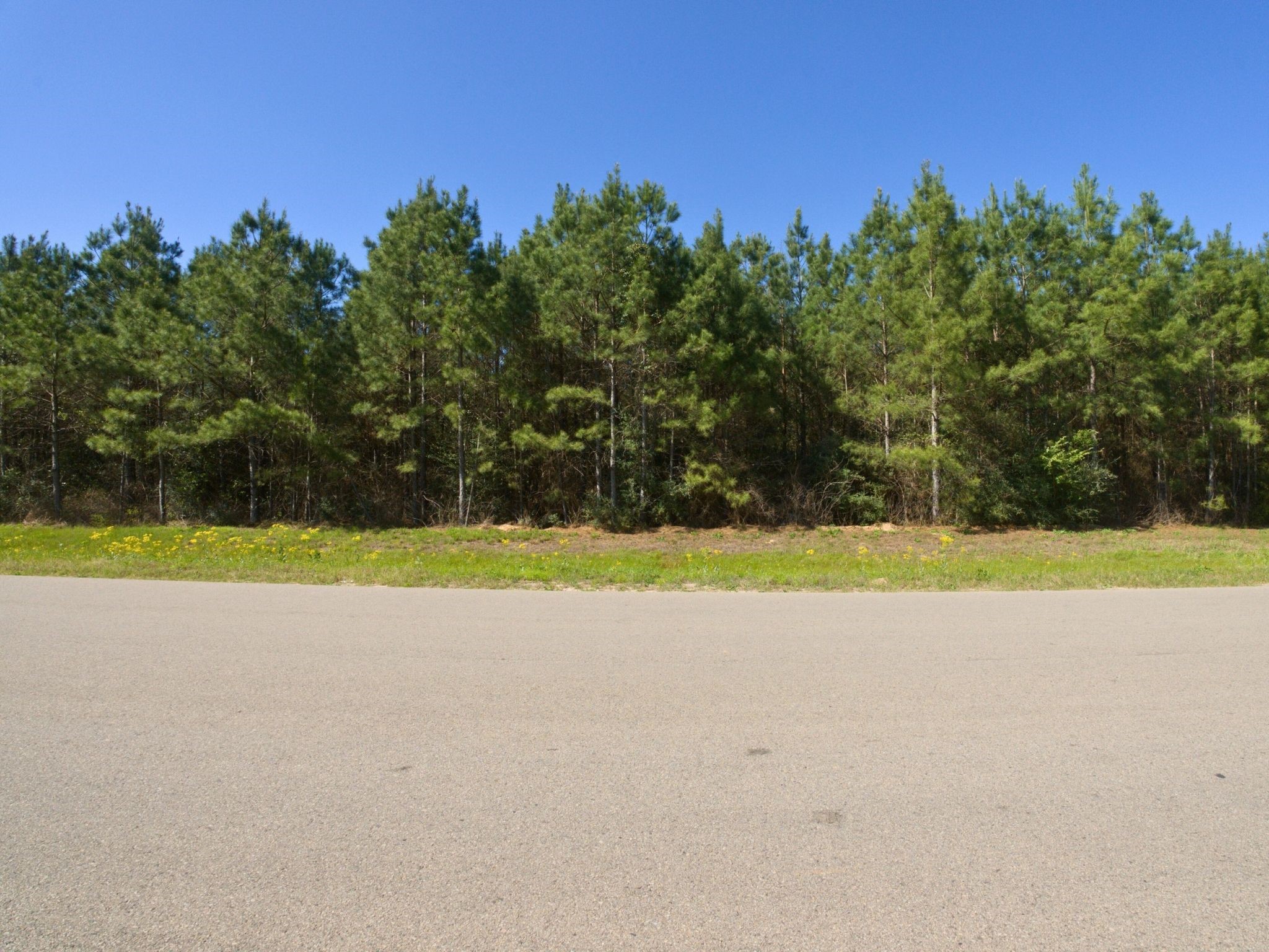 15761 Ridge Rock Road Willis, TX 77378 - Photo 10 of 15 a view of swimming pool with a yard