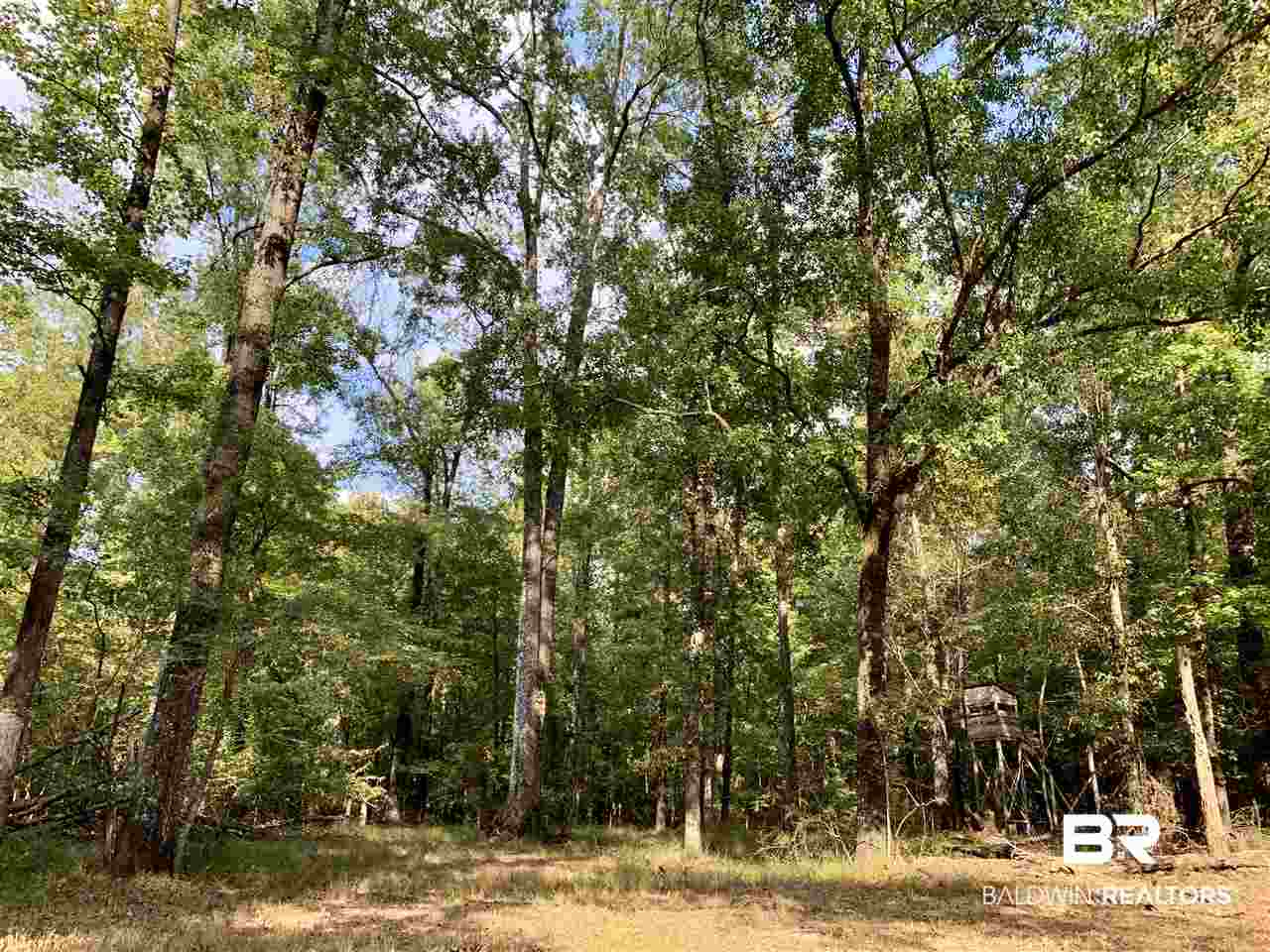 0 Holly Creek Road Stockton, AL 36579 - Photo 27 of 50
