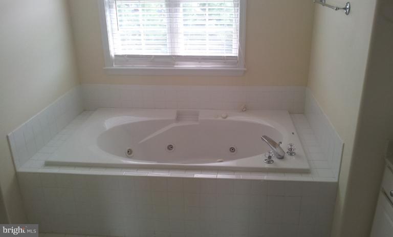 720 Black Sweep Road Warrenton, VA 20186 - Photo 4 of 11 Bath (Master)