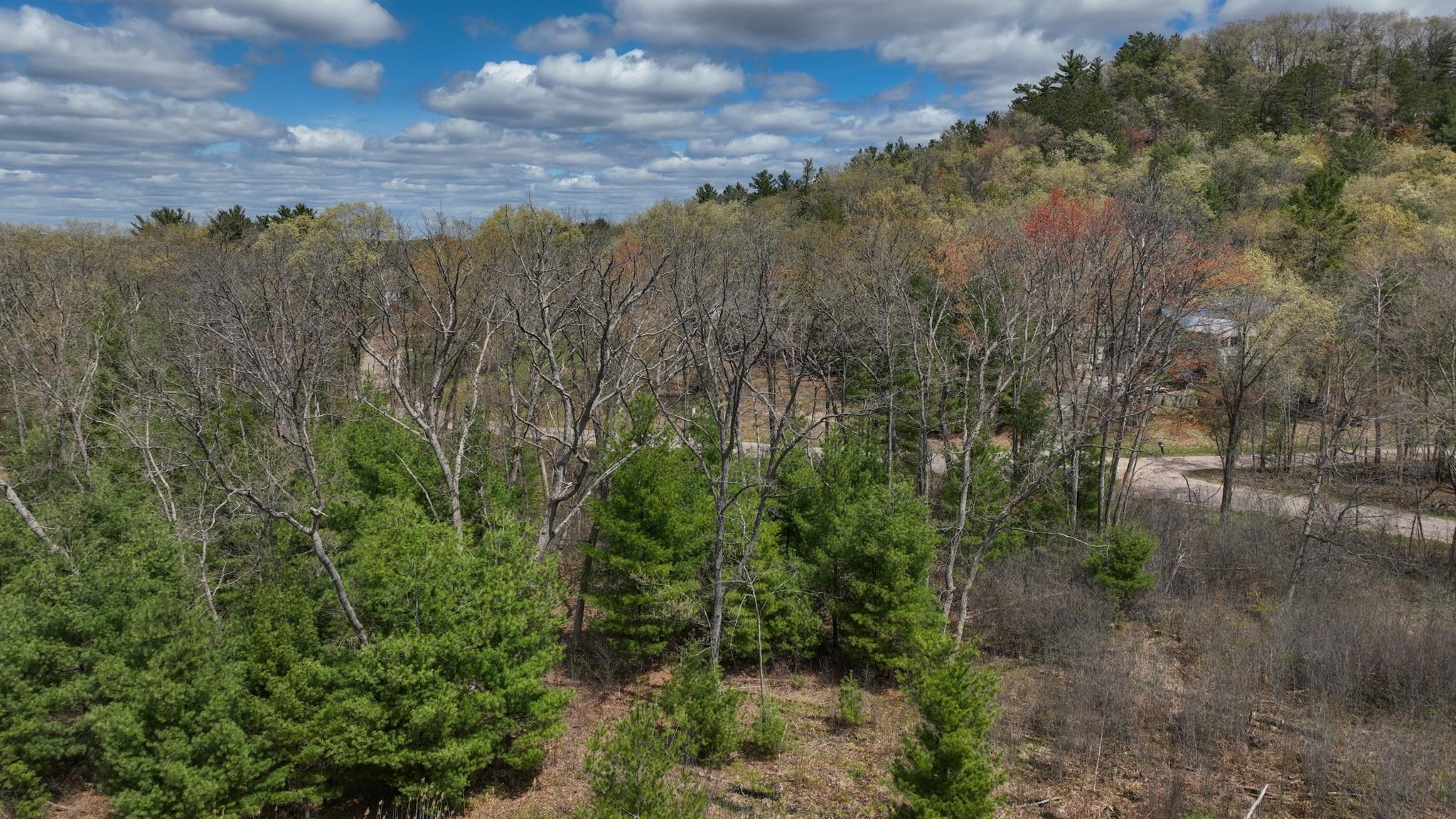 Lot 4 Grayling Tomah, WI 54660 - Photo 20 of 50