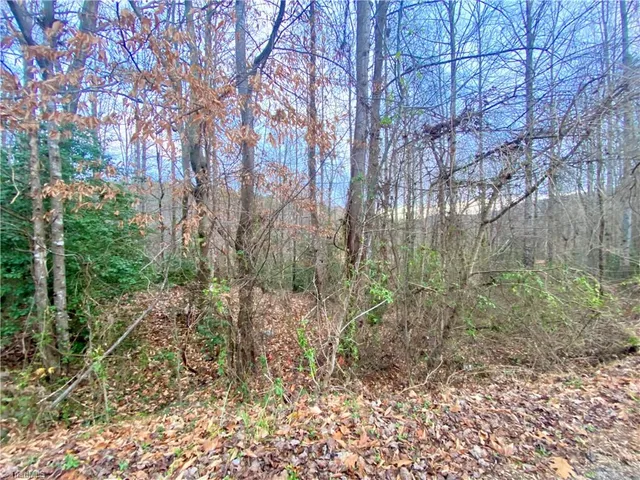 $53,500 | 0 Autumn Pl Lane, North Wilkesboro, NC 28659