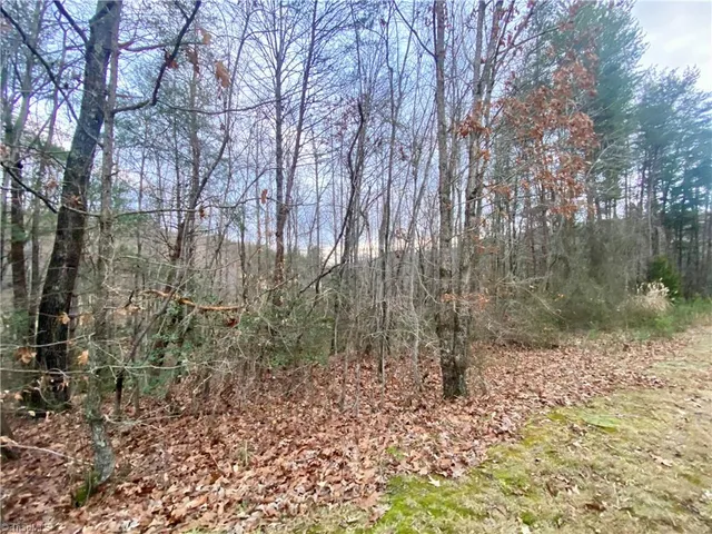 $53,500 | 0 Autumn Pl Lane, North Wilkesboro, NC 28659