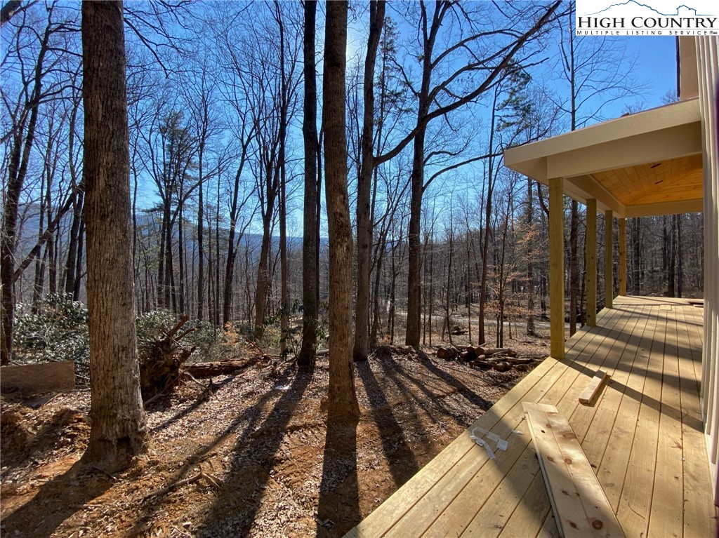 254 Hunnicut Mountain Road Marion, NC 28752 - Photo 3 of 35 Gallery Image 3