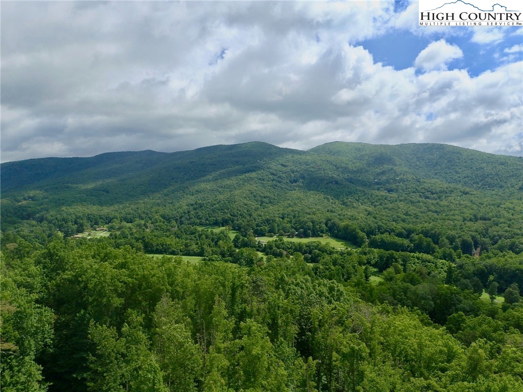 254 Hunnicut Mountain Road Marion, NC 28752 - Photo 33 of 35 Gallery Image 33