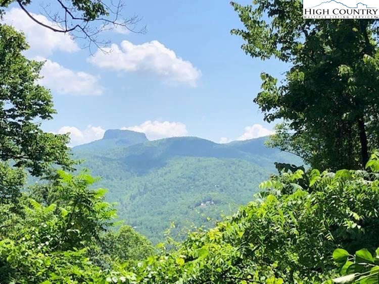 254 Hunnicut Mountain Road Marion, NC 28752 - Photo 34 of 35 Gallery Image 34