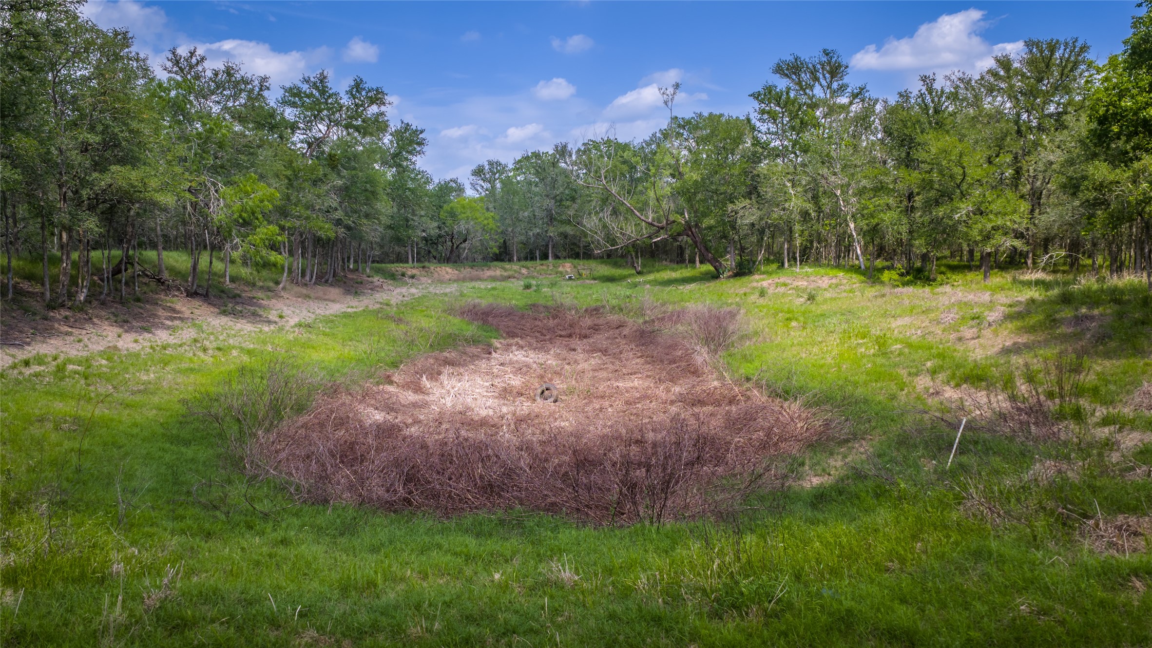4082 Old Colony Line Road Lockhart, TX 78644 - Photo 38 of 40 Green pastures and wooded areas surround a peaceful pond, creating a tranquil natural setting.