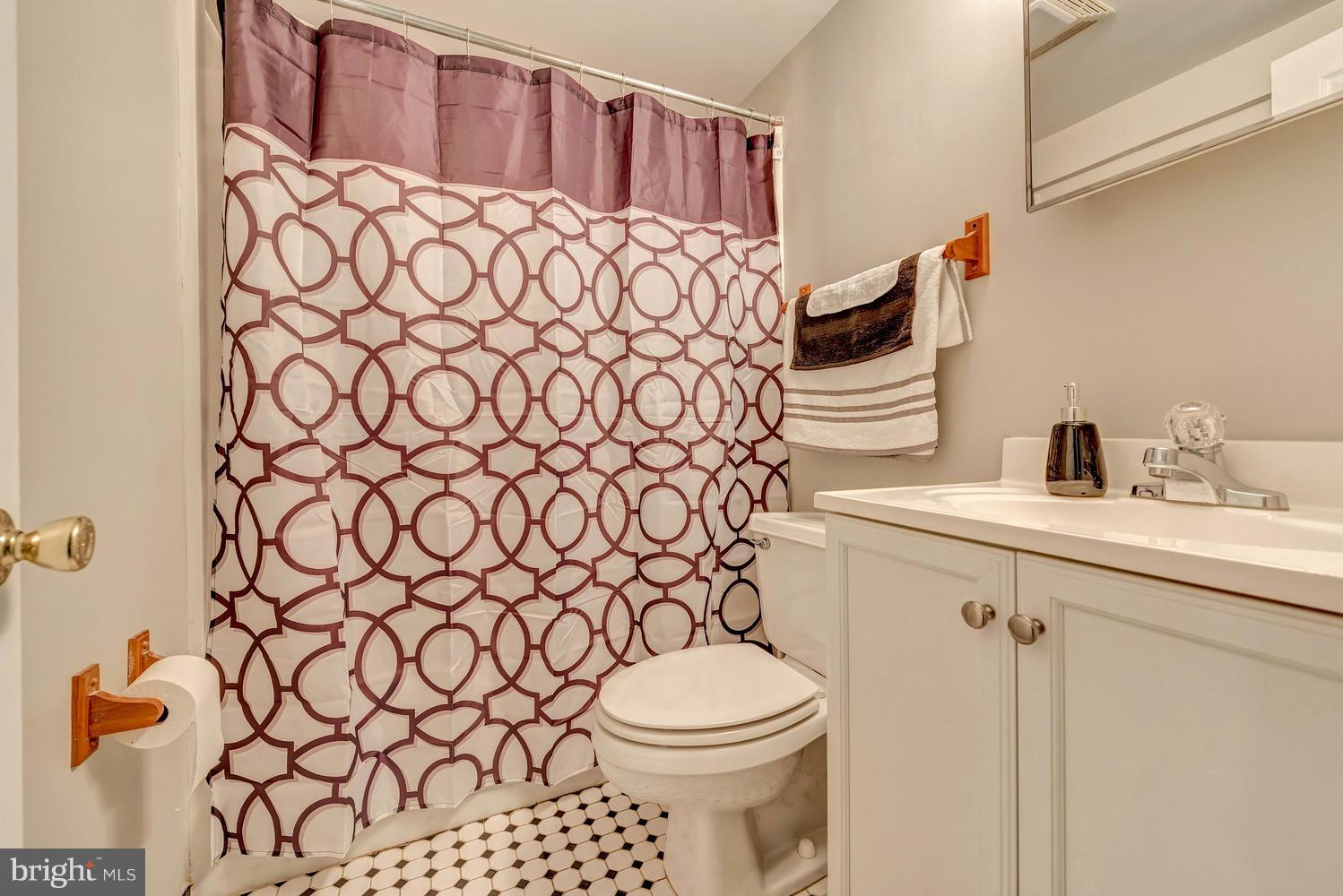 109 Hahn Road Westminster, MD 21157 - Photo 19 of 30 Lower level bath