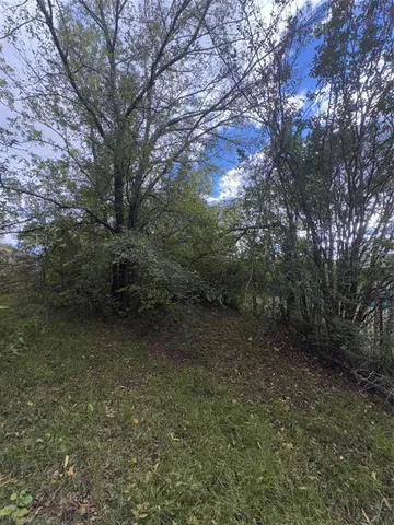 a view of a forest with trees in the background