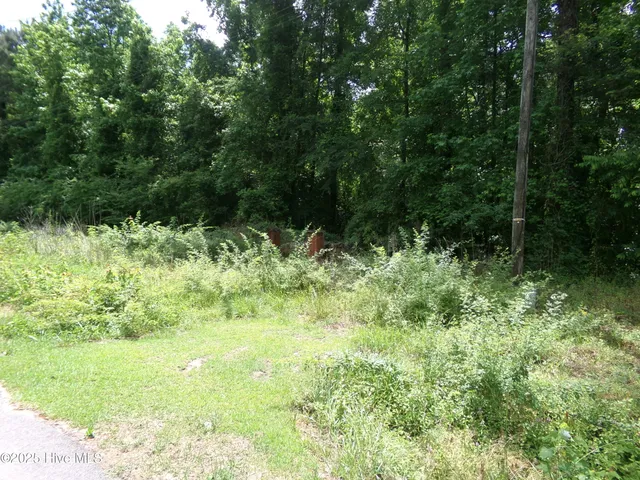 $14,500 | 242 Highway S Bladenboro Nc 28320, Bladenboro, NC 28320