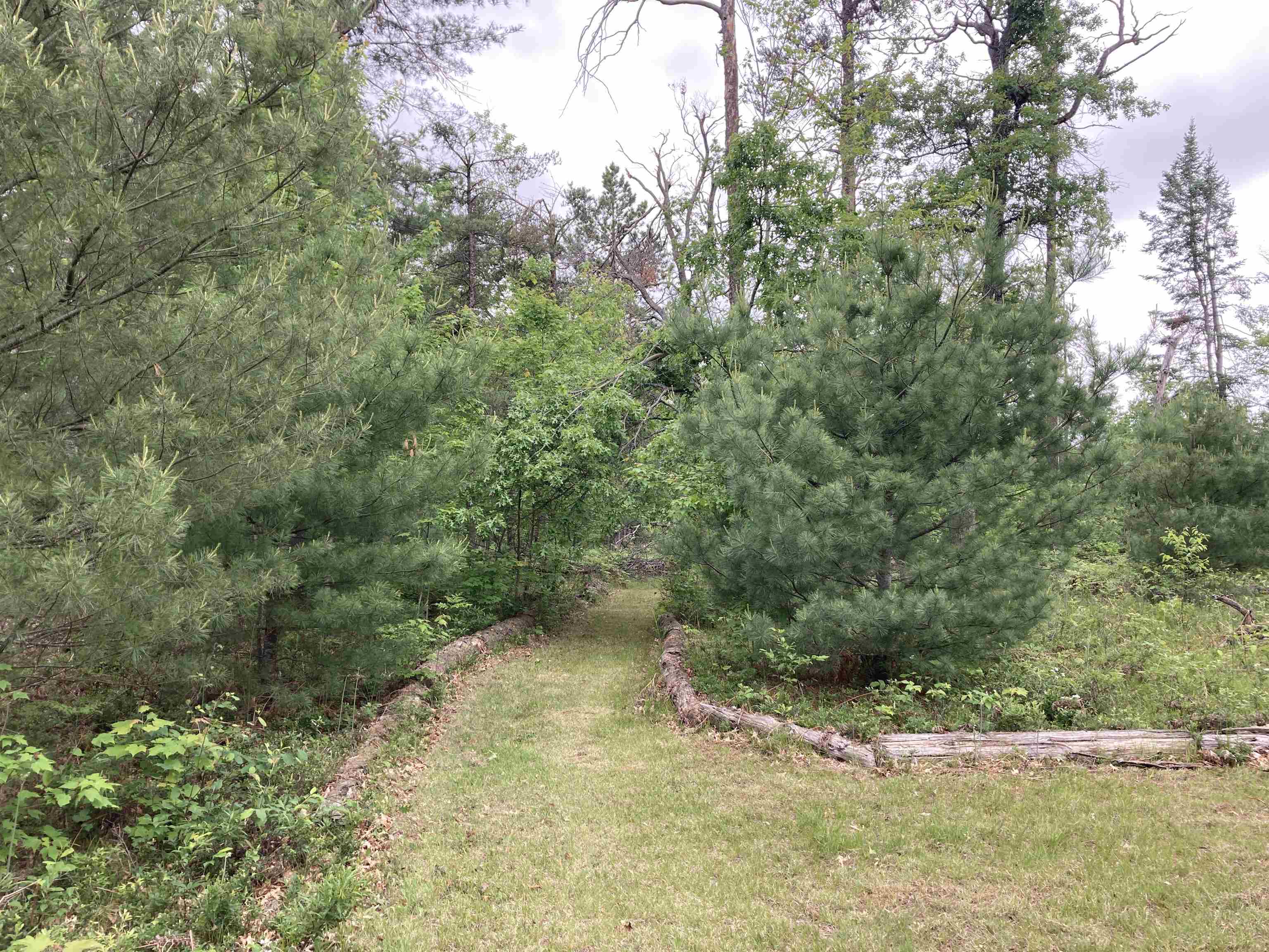 1875 Richardson Road Lewiston, MI 49756 - Photo 12 of 53