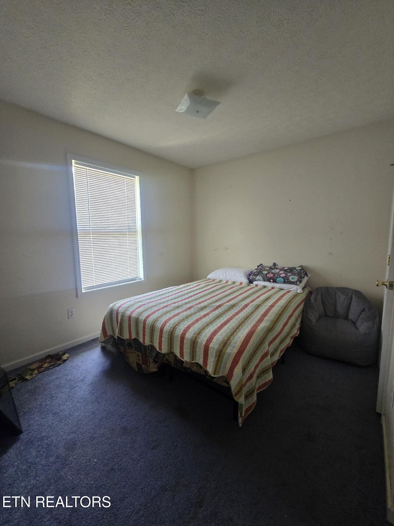 4619 Rugby Highway Robbins, TN 37852 - Photo 9 of 15 20250805_141048