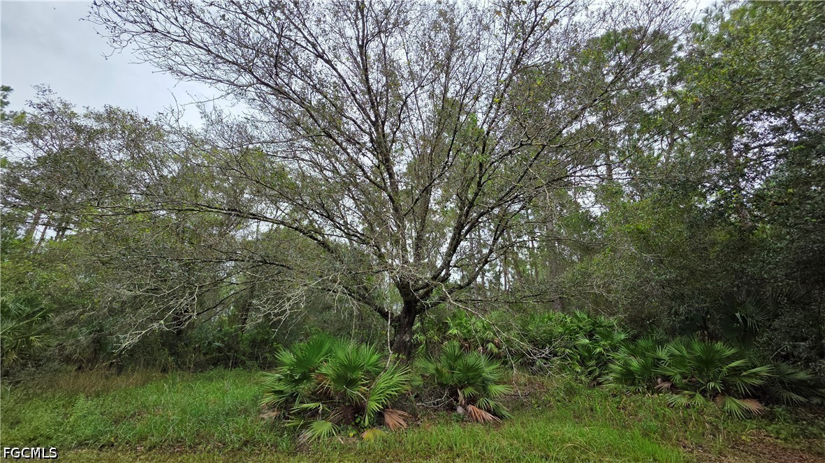 211 J4 Ranch Road LaBelle, FL 33935 - Photo 28 of 73 Gallery Image 28