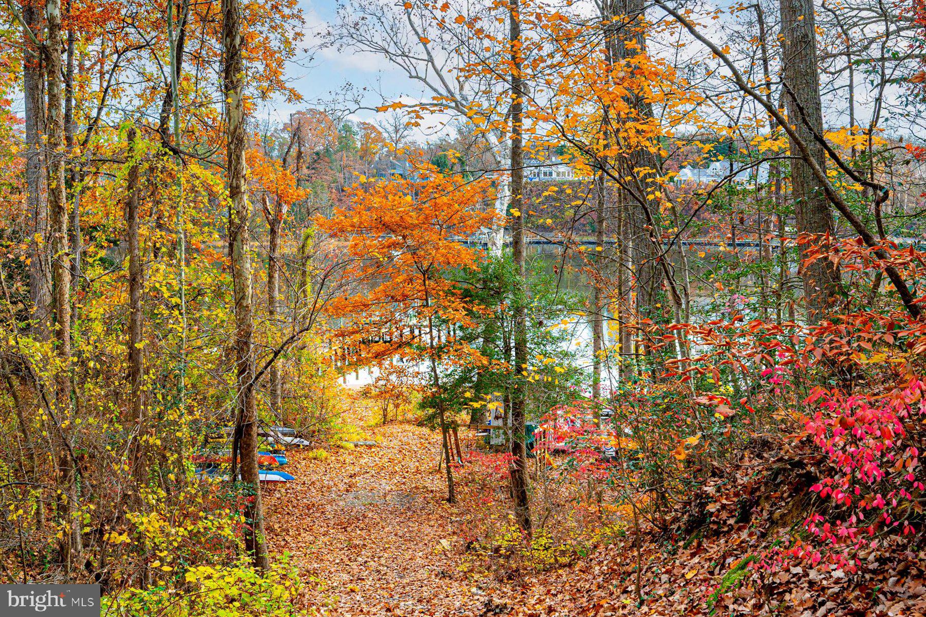 2942 Southaven Drive Annapolis, MD 21401 - Photo 36 of 41 a view of a yard with plants and tree