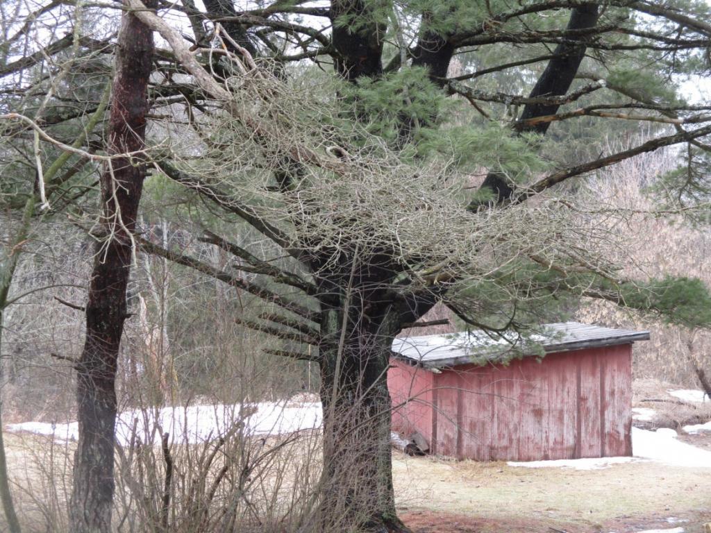352 Cedarhurst Road Kirkwood, NY 13795 - Photo 25 of 27 Gallery Image 25