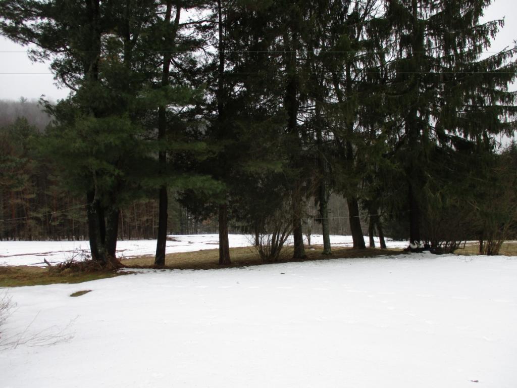 352 Cedarhurst Road Kirkwood, NY 13795 - Photo 5 of 27 Gallery Image 5