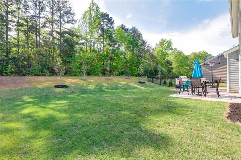 1517 Hedge Apple Road Clover, SC 29710 - Photo 22 of 24 Gallery Image 22