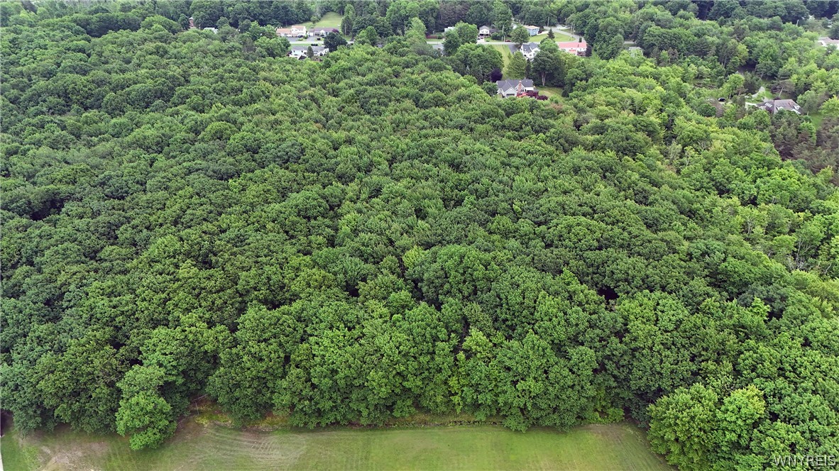 6800 Derby Road Evans, NY 14047 - Photo 46 of 50