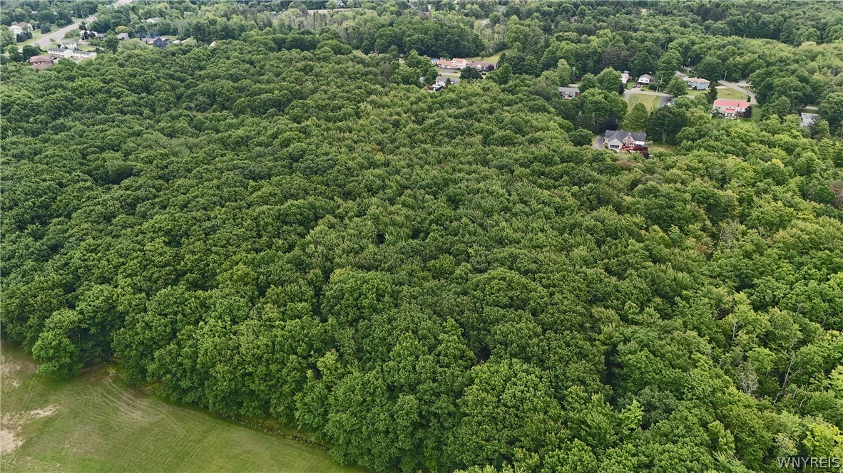 6800 Derby Road Evans, NY 14047 - Photo 47 of 50