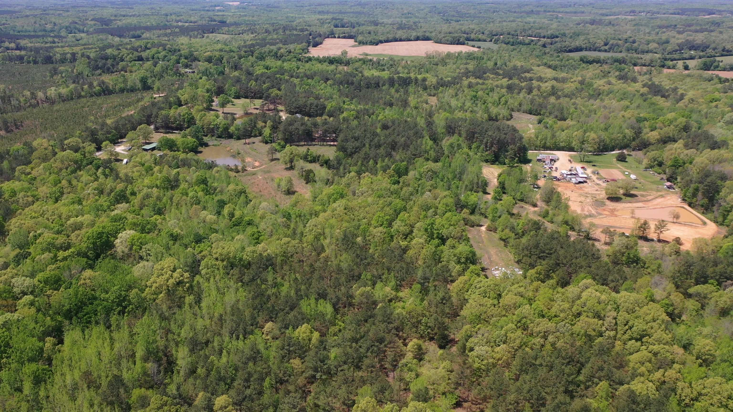 Lot#9 Malone Cemetery Road Finger, TN 38334 - Photo 1 of 13 a view of a dry yard with green space
