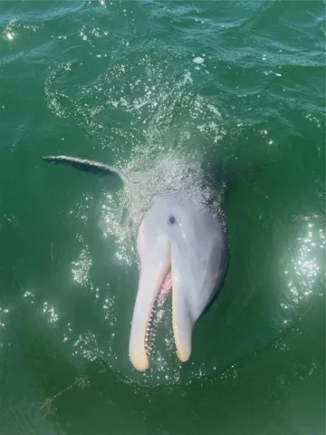 $1,225,000 | 2518 Coral Court, Indian Rocks Beach, FL 33785