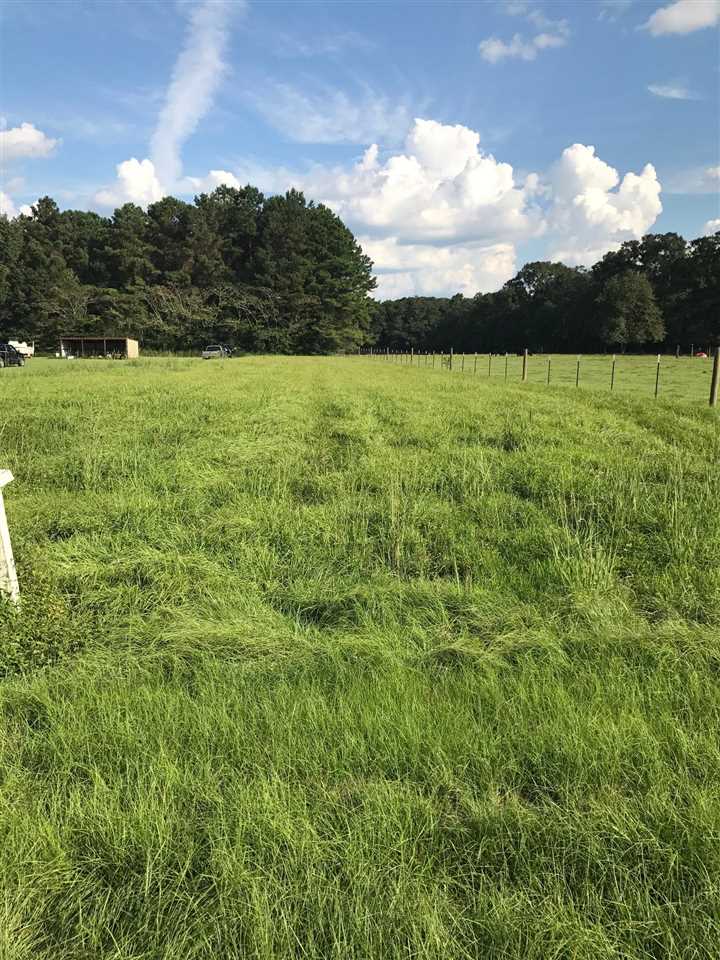 0 Lakeview Road Bay Minette, AL 36507 - Photo 1 of 3