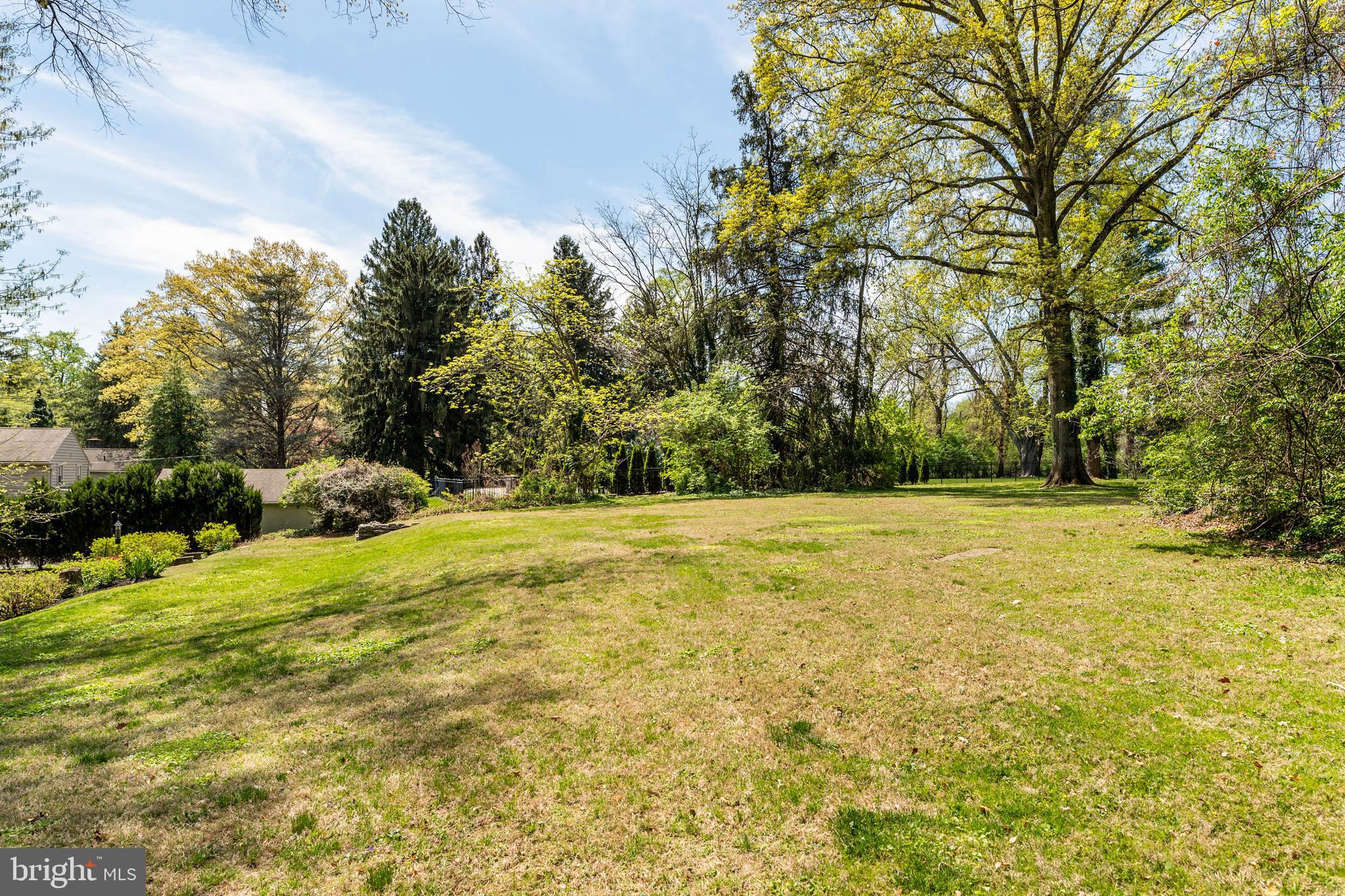 912 Centennial Road Penn Valley, PA 19072 - Photo 49 of 54 a view of yard with large trees