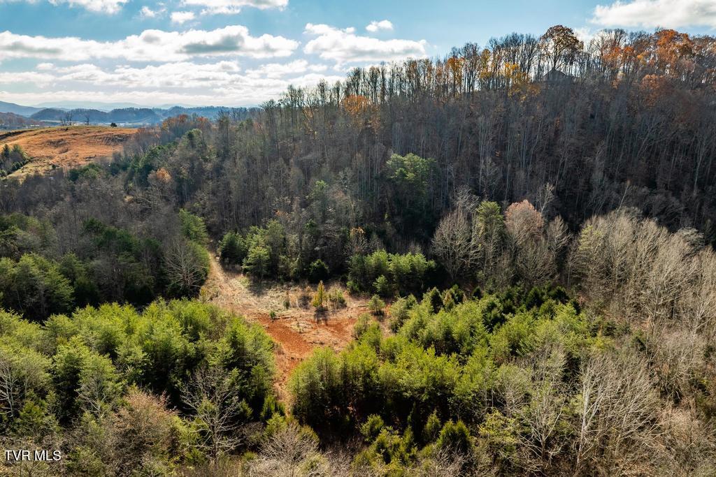 Tbd93-acres Hunting Hill Road Bluff City, TN 37618 - Photo 26 of 53 TBD Hunting Hill Rd Bluff City TN