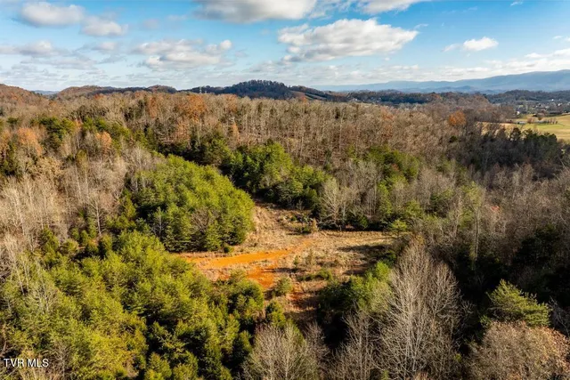 $950,000 | Tbd93-acres Hunting Hill Road, Bluff City, TN 37618