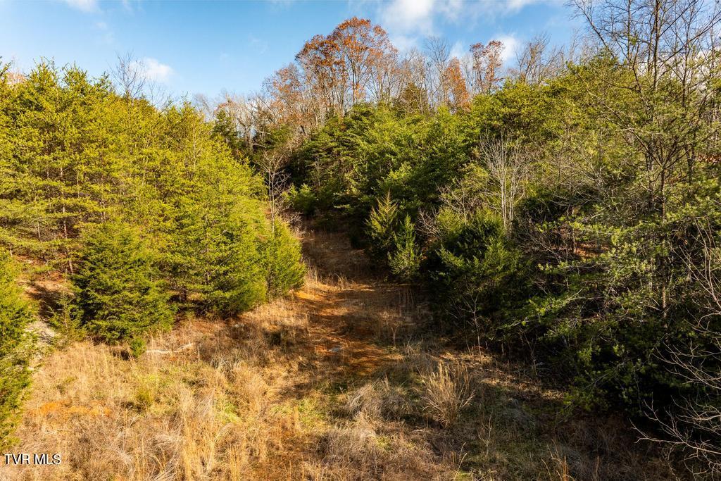 Tbd93-acres Hunting Hill Road Bluff City, TN 37618 - Photo 29 of 53 TBD Hunting Hill Rd Bluff City TN