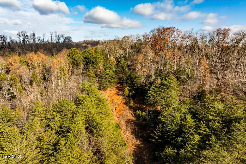 Tbd93-acres Hunting Hill Road Bluff City, TN 37618 - Photo 30 of 53 TBD Hunting Hill Rd Bluff City TN