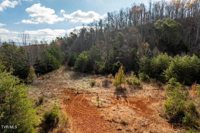 $950,000 | Tbd93-acres Hunting Hill Road, Bluff City, TN 37618