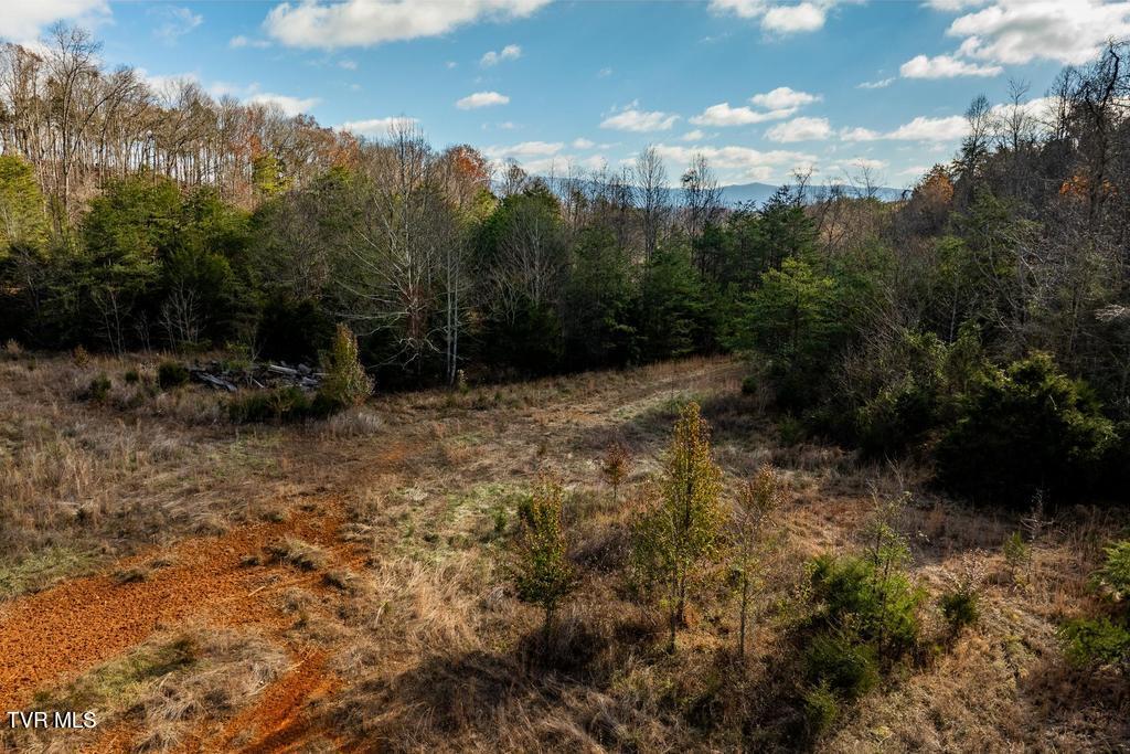 Tbd93-acres Hunting Hill Road Bluff City, TN 37618 - Photo 33 of 53 TBD Hunting Hill Rd Bluff City TN