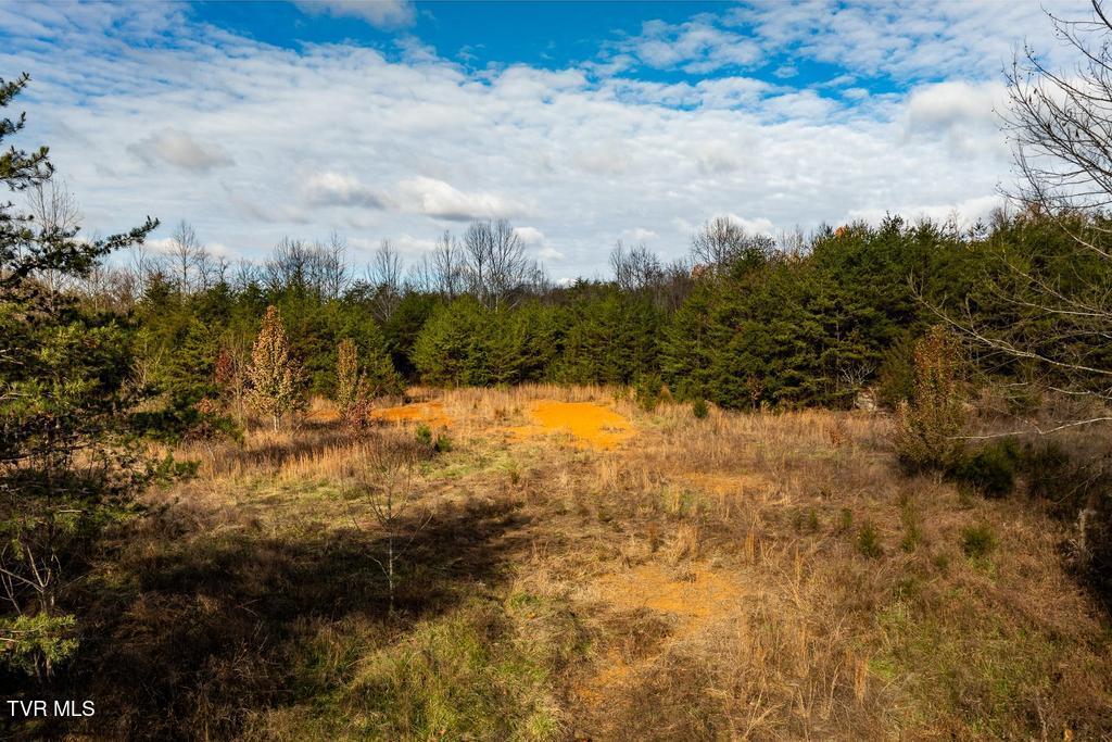 Tbd93-acres Hunting Hill Road Bluff City, TN 37618 - Photo 34 of 53 TBD Hunting Hill Rd Bluff City TN