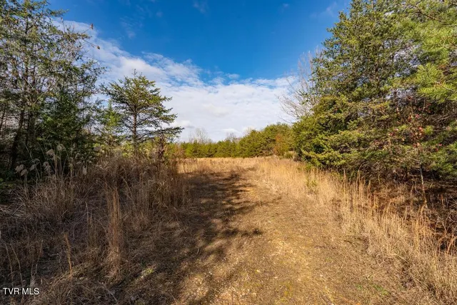 $950,000 | Tbd93-acres Hunting Hill Road, Bluff City, TN 37618