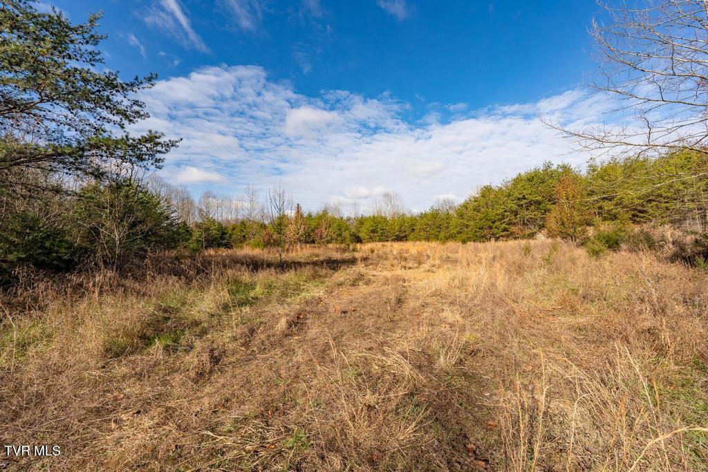 Tbd93-acres Hunting Hill Road Bluff City, TN 37618 - Photo 36 of 53 TBD Hunting Hill Rd Bluff City TN